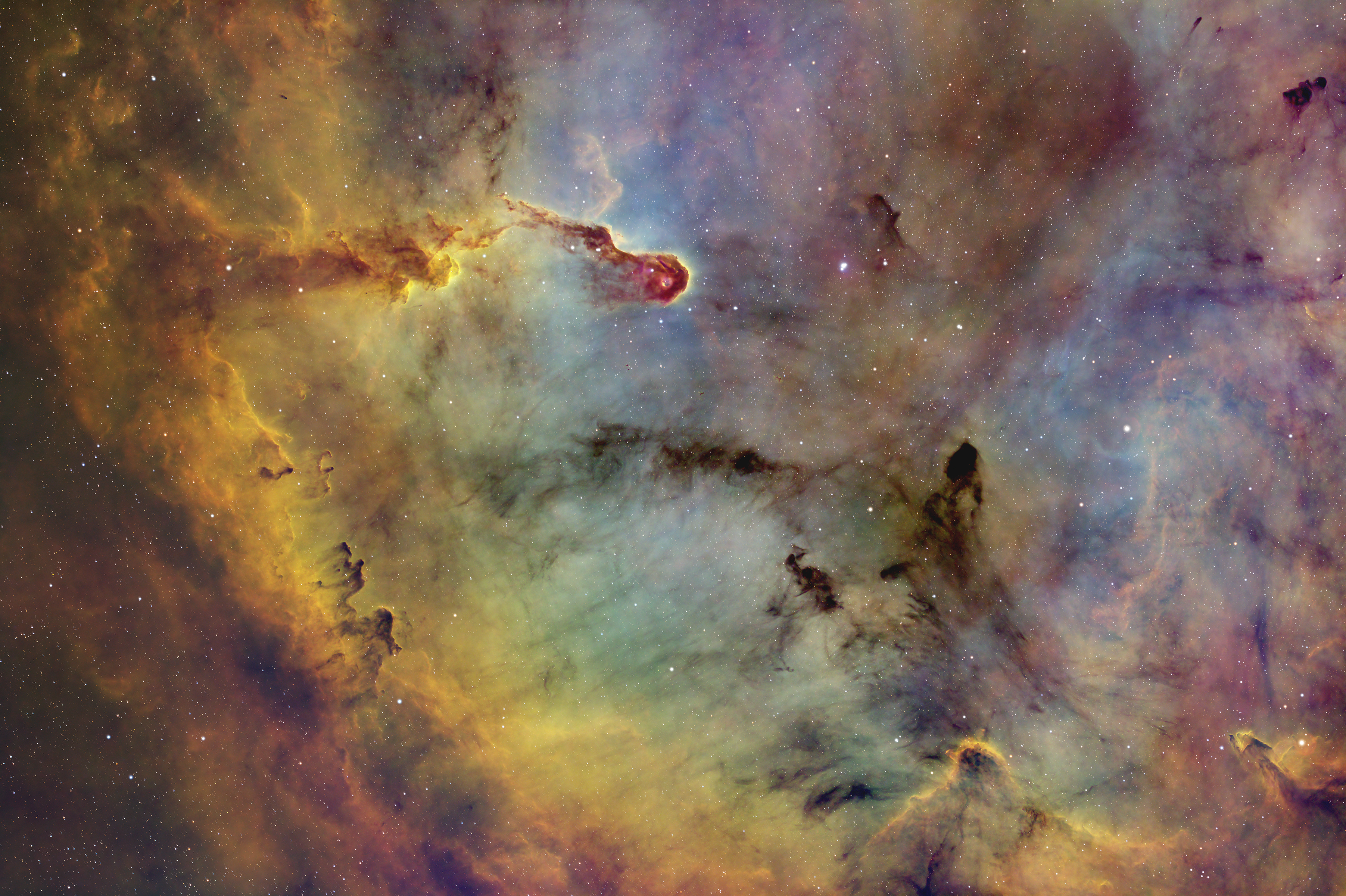The Elephant Trunk Nebula IC 1396
