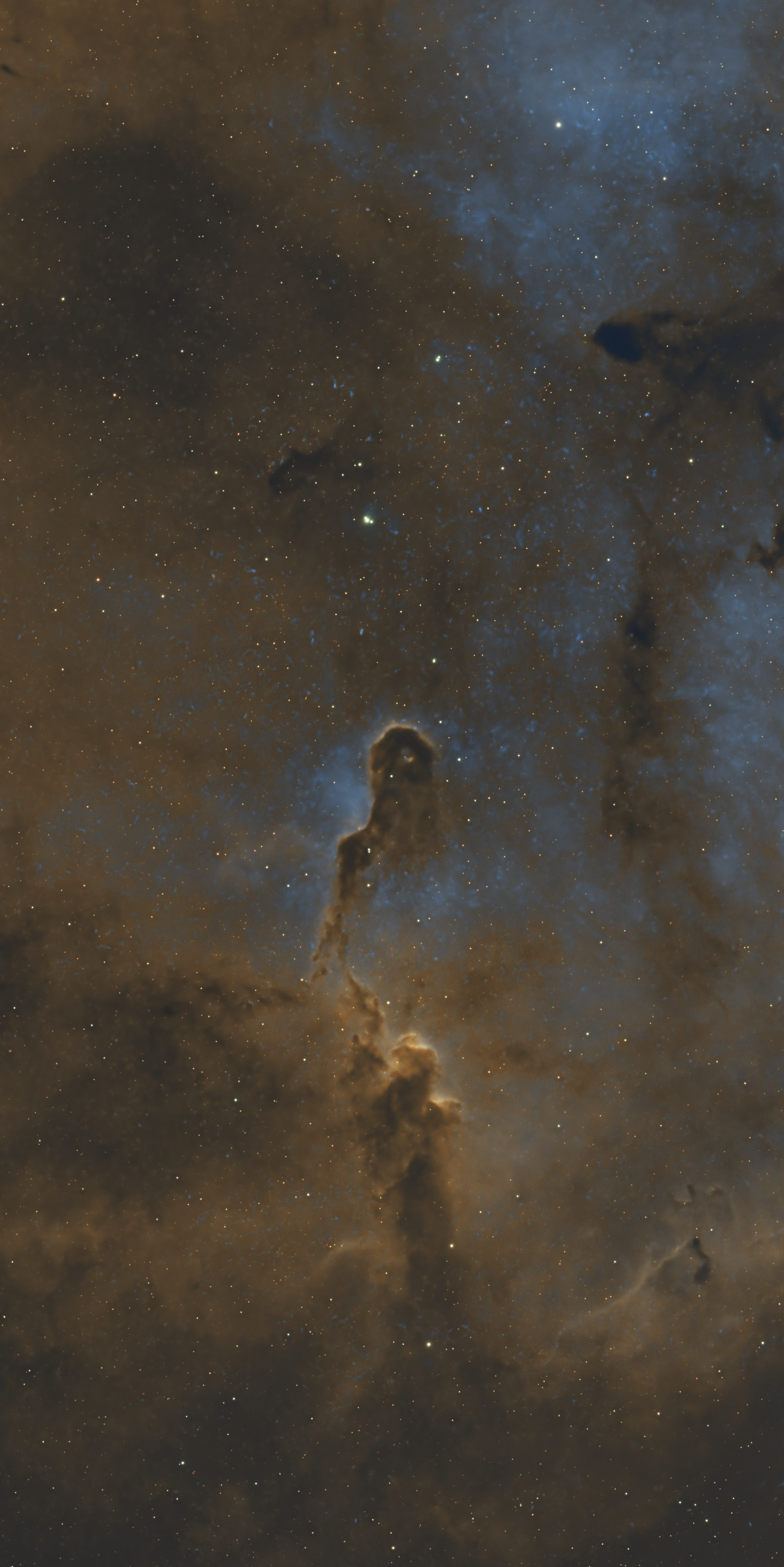 The Elephant's Trunk Nebula IC1396