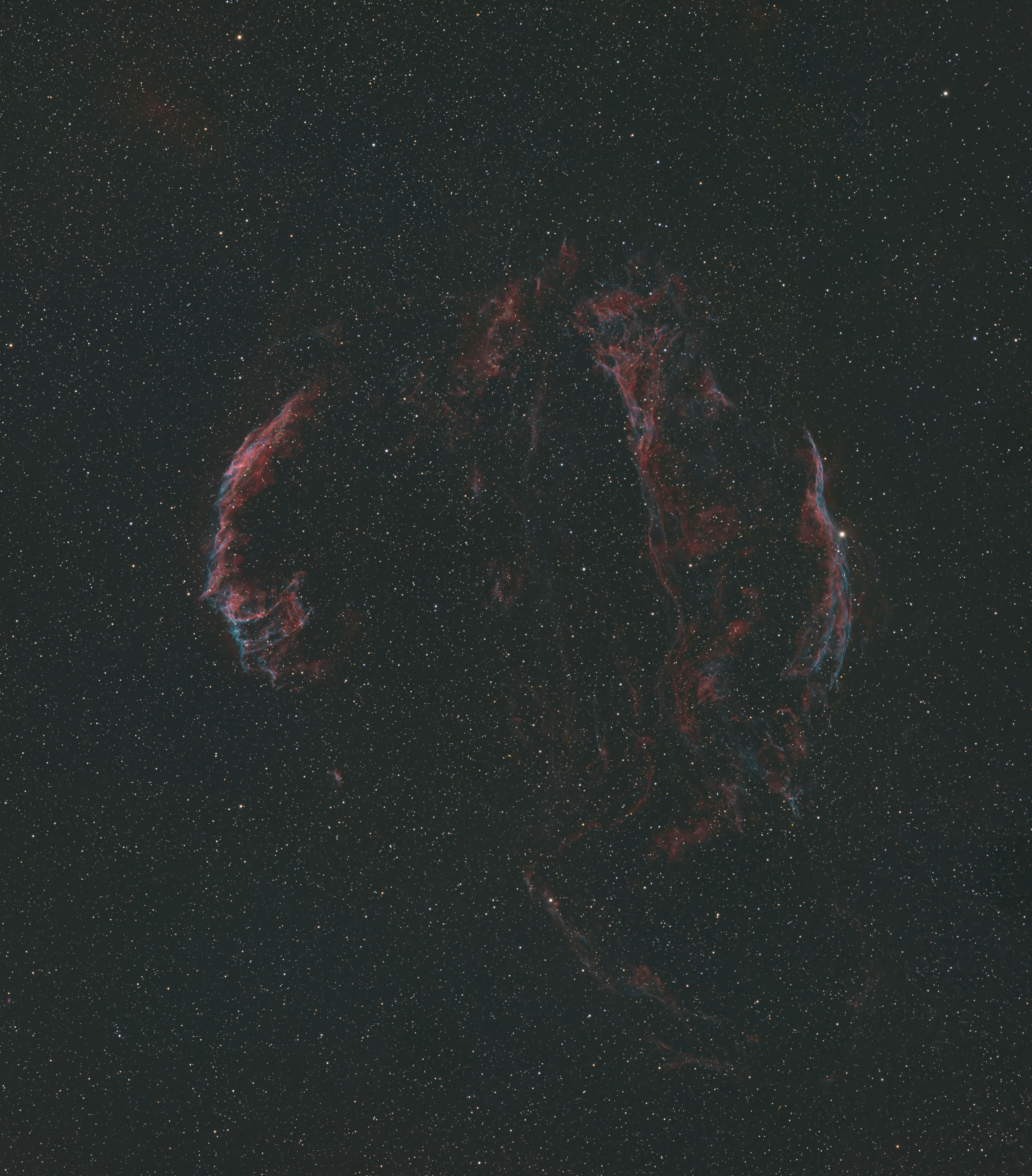 The Cygnus Loop
